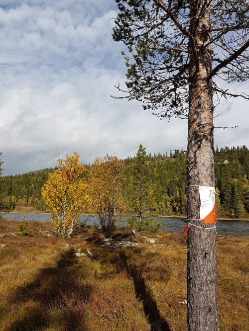 Tur-O sesongen går mot slutten